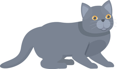 Cartoon grey british shorthair cat sitting and resting