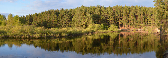 Panorama of the forest river.
