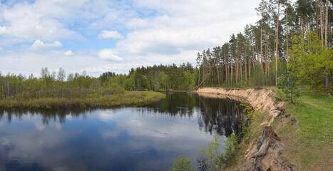 Panorama of the forest river.