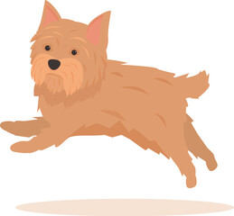 Norfolk terrier running with paws outstretched, happy dog illustration