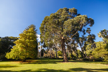 Williamstown Botanic Gardens in Melbourne Australia