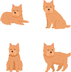 Four vector illustrations featuring cute cairn terrier dogs in different standing and sitting poses