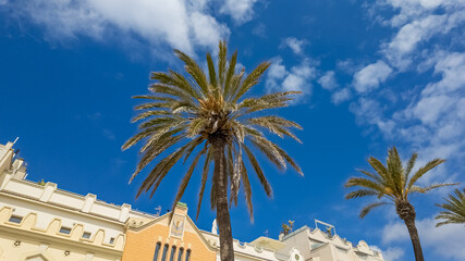 Tropical palm trees towering over Mediterranean-style architecture under a clear blue sky, ideal for travel and summer vacation themes