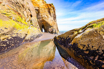 Low tide