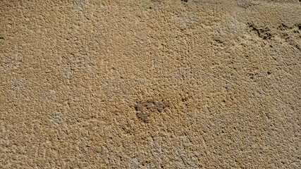 Close-up texture of dry sandy beach surface, ideal for backgrounds or natural patterns related to summer, travel, or environmental concepts