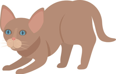 Playful brown cat getting ready to jump and pounce, with bright blue eyes and a curious expression