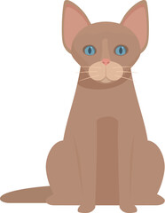 Illustration of a brown cat with blue eyes sitting and staring ahead