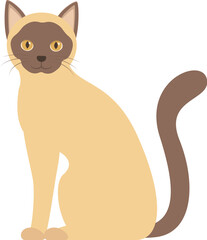 Illustration of a cute siamese cat sitting and looking forward, isolated on white background