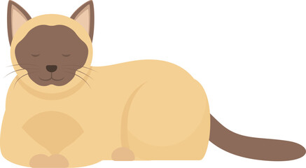 Adorable siamese cat with brown markings lying down with its eyes closed
