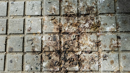 Worn and dirty paving stones with visible stains, suited for urban decay themes or concepts related to environmental pollution