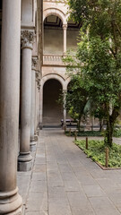 Tranquil courtyard with classical architecture, stone columns, and lush greenery, ideal for concepts like academia, heritage, and European culture