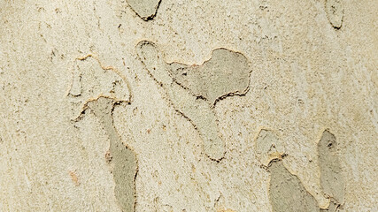 Close-up texture of cracked, peeling paint on a concrete wall, potential background for urban decay or renovation concepts