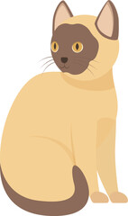 Obraz premium Adorable siamese cat sitting and looking curiously over its shoulder