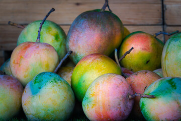 A pile of fruit with a variety of colors including green, yellow, and red