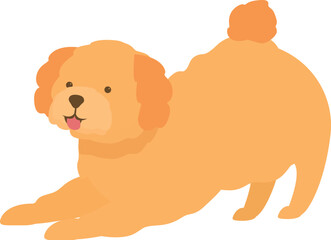 Playful golden doodle puppy is stretching out its front legs and getting ready to play