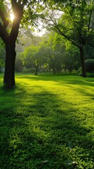Obraz premium Smooth green grass, lawn on a sunny day. The texture of the grass.