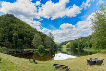 petit étang calme et reposant