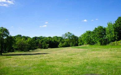 field and sky © Tomasz