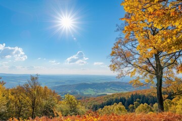 Fototapeta premium Sunny autumn landscape charming rural idyll panorama in a picturesque countryside setting