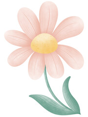 Naklejka premium The flower element is digital art, drawn using a watercolor brush. The color tone is pastel, emphasizing brightness for the audience. Stellar Aan.