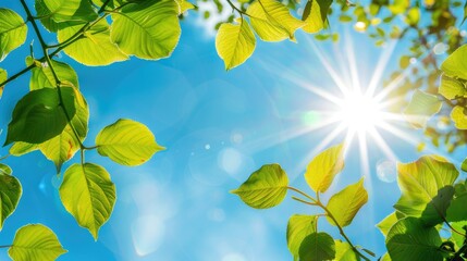 a blue sky with lush green leaves and the sun shining through, creating a perfect backdrop for a summer nature concept.