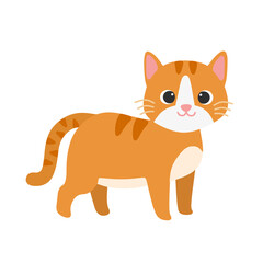  Cute Smiling Cat Illustration. Animal Clipart.