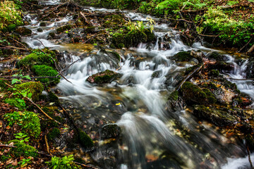 Mountain stream in the forest.