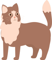 Brown and pink cat with its tail up standing and looking curious