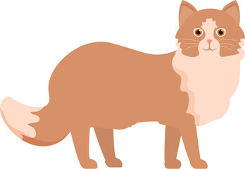 Adorable ginger cat standing with its tail raised, showcasing its playful and curious nature