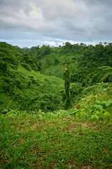 Exotic landscape near Fuipisia waterfall in eastern Samoa on a cloudy day