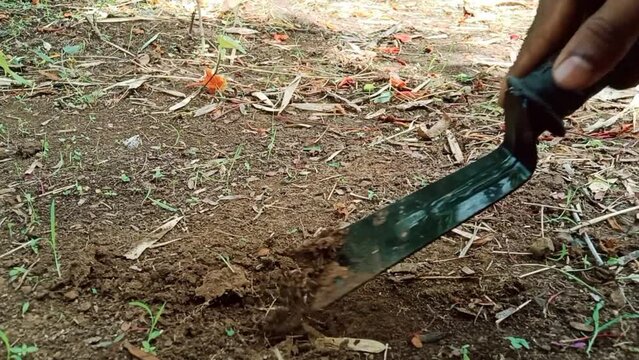 A khurpi hand tool used for digging soil manual in agriculture and gardens