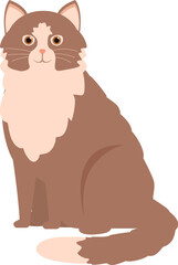 Brown and white furry cat is sitting calmly with its tail curled around its body