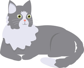 Grey and white cat with green eyes lying down and looking up