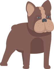 Brown and tan french bulldog illustration standing and looking to the side