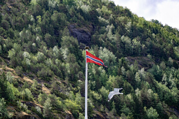 Norwegische Flagge