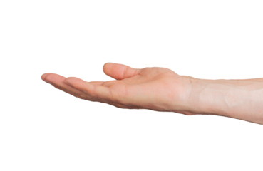 empty palm, hand gesture, sign isolated on white background, transparent PNG, cutout