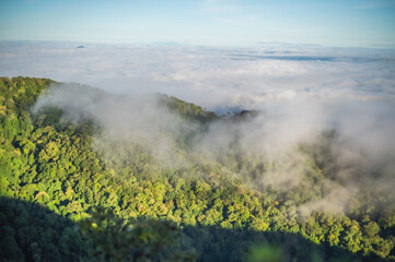 Obraz premium fog over the river
