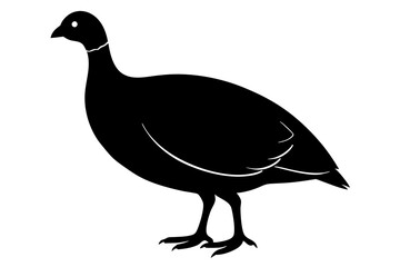 Guinea Fowl animal vector, silhouette black color, vector illustration