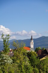 Fototapeta premium Kirchturm in Slowenien