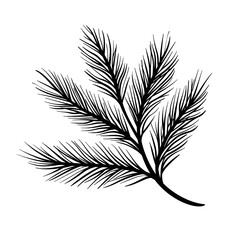 Detailed black and white fern leaf illustration, perfect for botanical studies, natural designs, and creative projects.