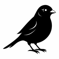 Vector illustration of a sparrow 