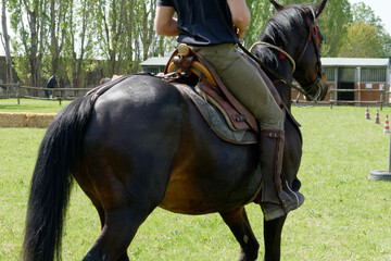 Man riding black horse on the green lawn . Tuscany, Italy