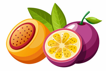 passionfruit and orange slices vector illustration