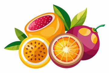 passionfruit and orange slices vector illustration