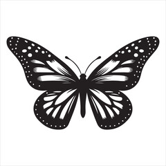 Black Butterfly vector silhouette