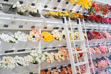 A vibrant assortment of flowers arranged on shelves with a white ladder, creating a visually appealing display.