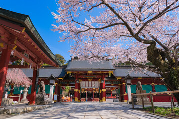 宮城県塩竈市 春の鹽竈神社 唐門