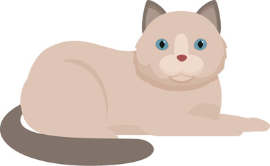 Adorable ragdoll cat with blue eyes is lying on the floor and resting