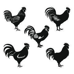 Rooster Black Color Vector Illustration Set