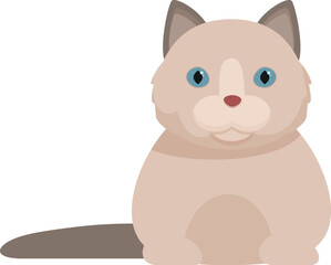 Illustration of a cute ragdoll cat sitting and looking forward, perfect for animal lovers